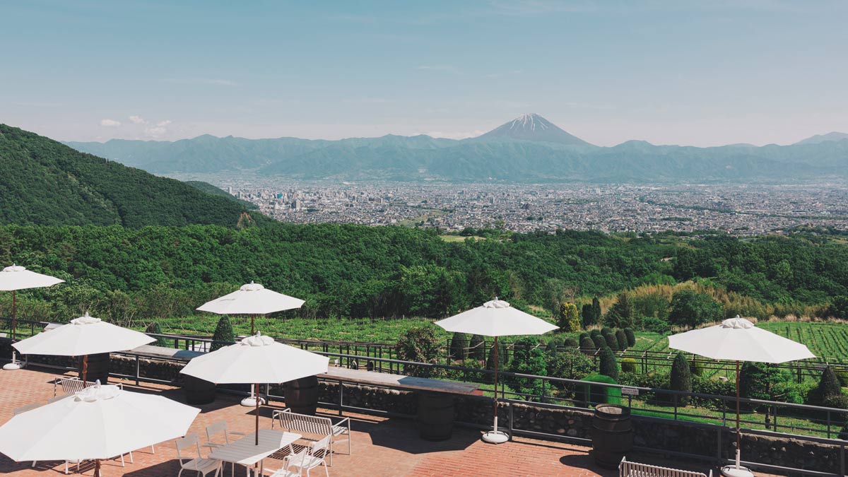 サントリー,ワイン,登美の丘ワイナリー,ワイナリー,ワイナリー見学,甲府,山梨県,甲州