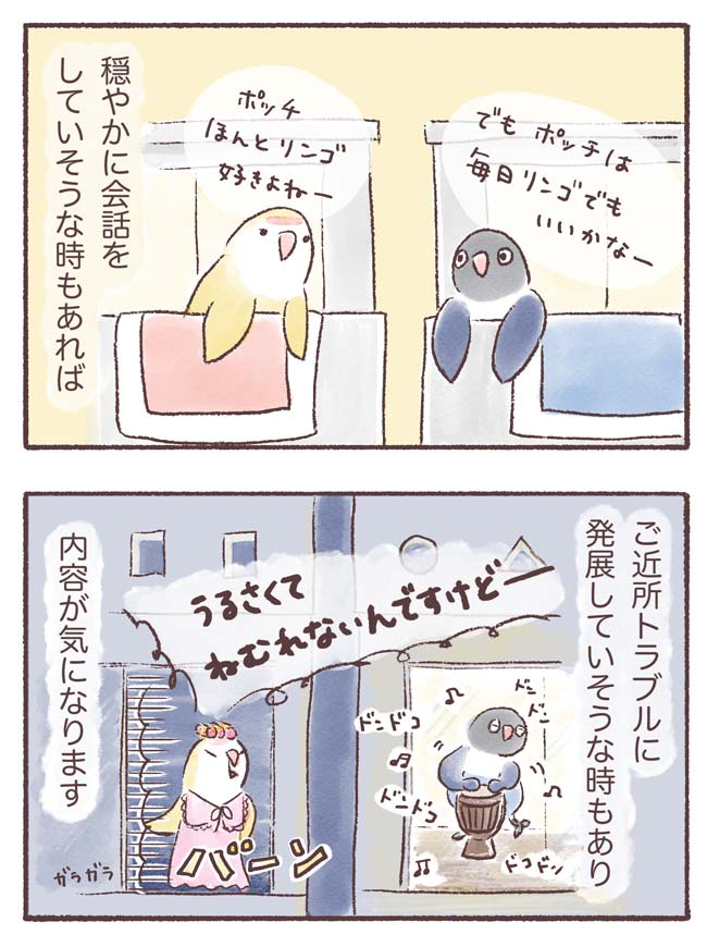 うちのインコたちは今日もおしゃべり1話2P