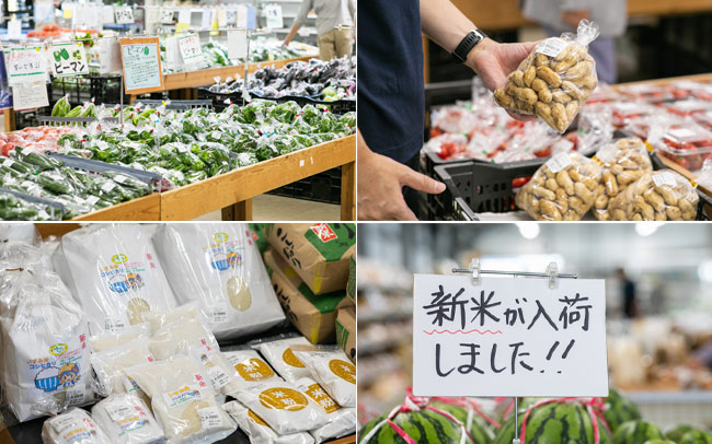 オズモール、千葉県、チバケーション