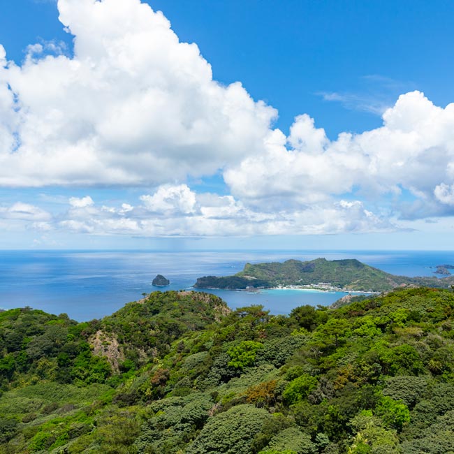 世界自然遺産、父島、絶景スポット、中央山展望台