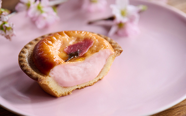 BAKE CHEESE TARTの春限定・桜チーズタルト