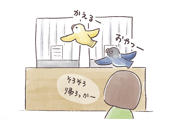 第3話 うちのインコたちは今日もおしゃべり