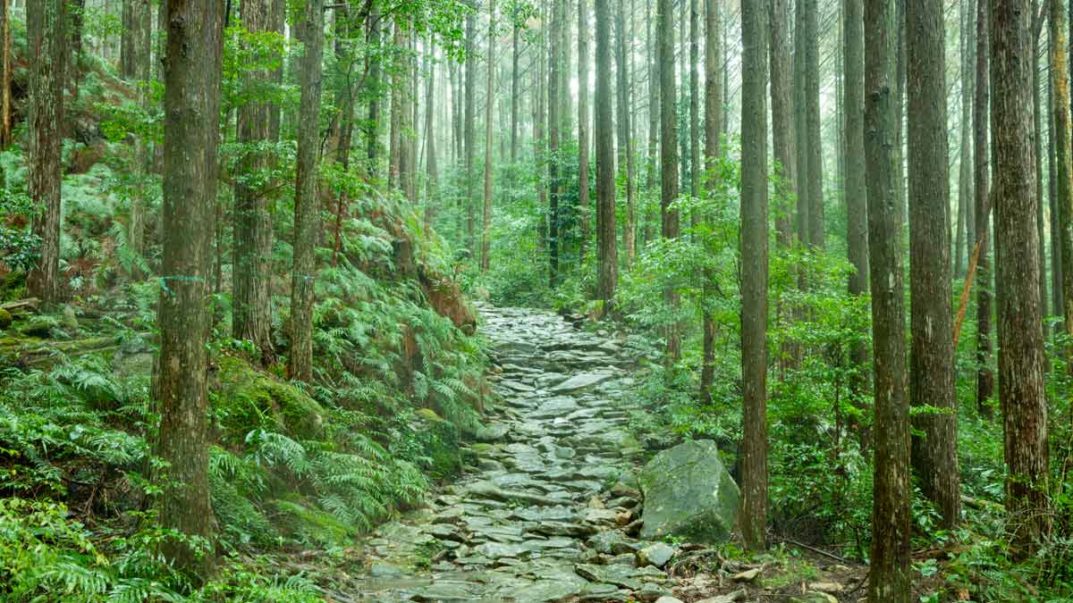 三重県・紀北町、尾鷲市、多気町