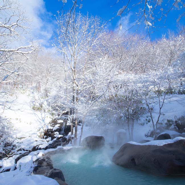 【奥入瀬渓流ホテル】純白の雪景色が広がる、秘境温泉を独り占め！「冬の絶景雪見露天」