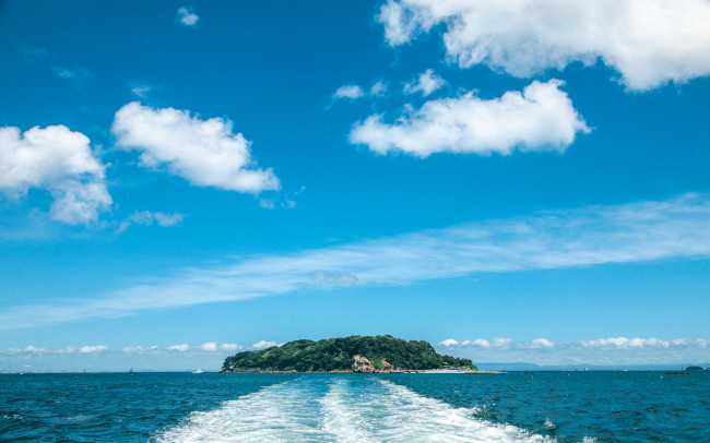 東京湾に浮かぶ唯一の自然島・猿島でBBQ