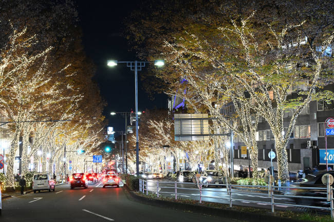 表参道ヒルズ「OMOTESANDO HILLS CHRISTMAS 2024」