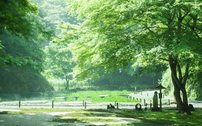 お花と緑に癒される、鎌倉のお寺＆神社5選