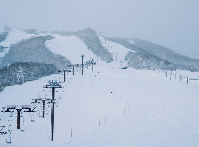 MUWA NISEKO,宿泊記,北海道,ホテル,ニセコ