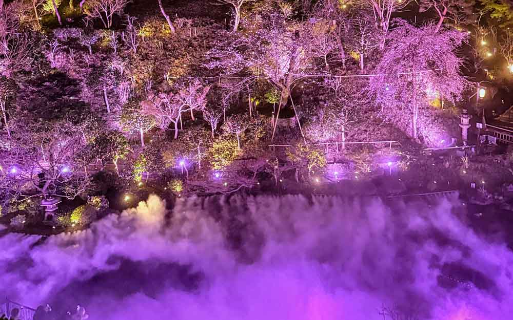 粉色夢幻雲海、空中三重塔必見