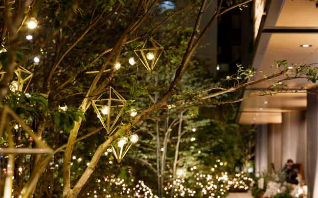 赤坂インターシティAIR飲食店テラス前樹木