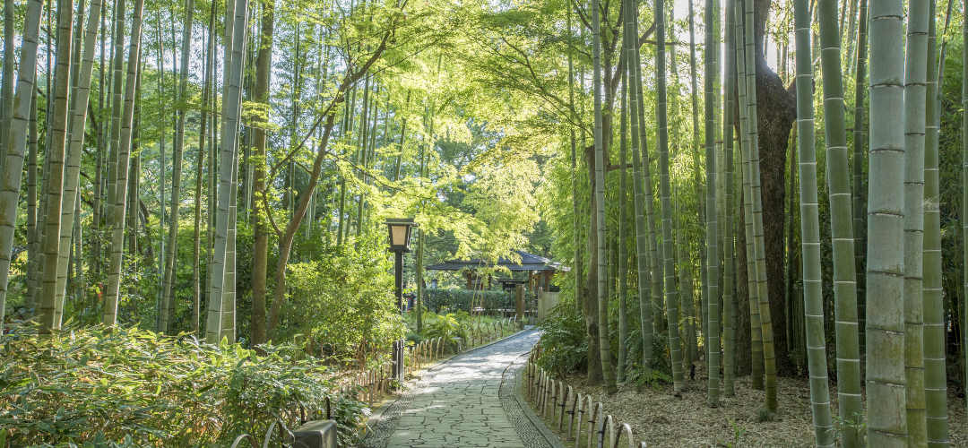 京都嵐山の観光