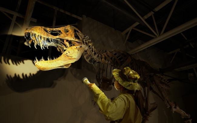 よみうりランドの大迫力恐竜イベントを開催