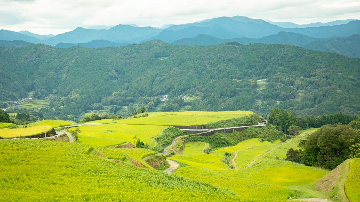 高知,カルタ