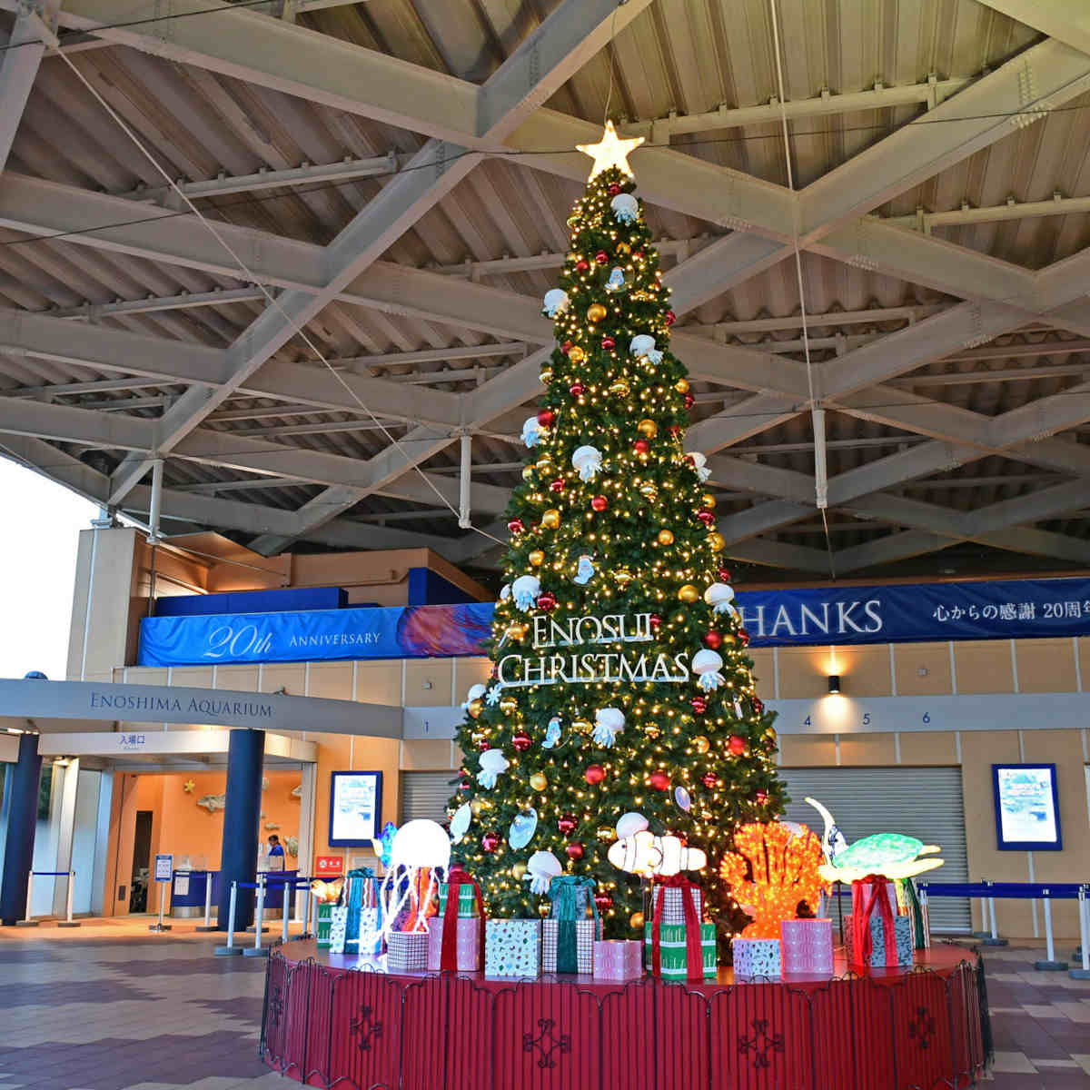 新江ノ島水族館「ENOSUI CHRISTMAS」