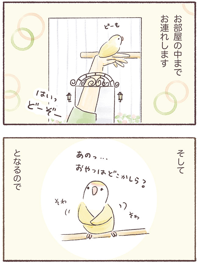 うちのインコたちは今日もおしゃべり3話３P