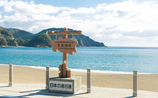 ウミガメに会いに。徳島県南部ゆるり列車旅