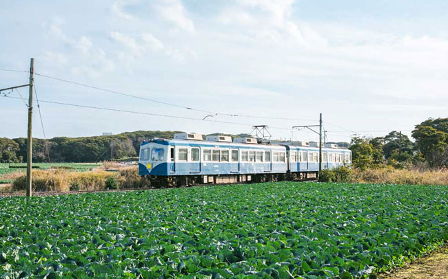 銚子電鉄で行く絶景とグルメの日帰り旅