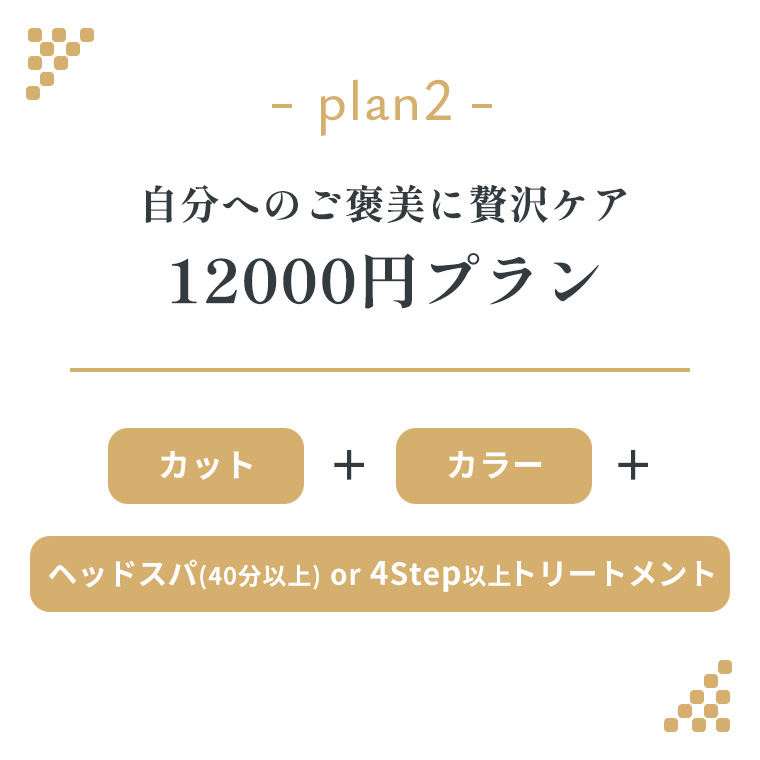 12000円プラン