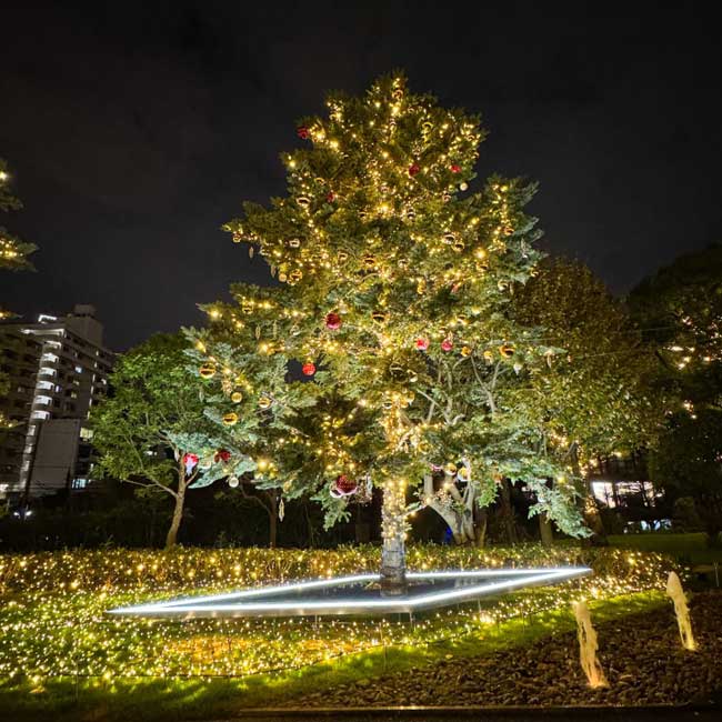 東京ミッドタウン MIDTOWN CHRISTMAS 2024