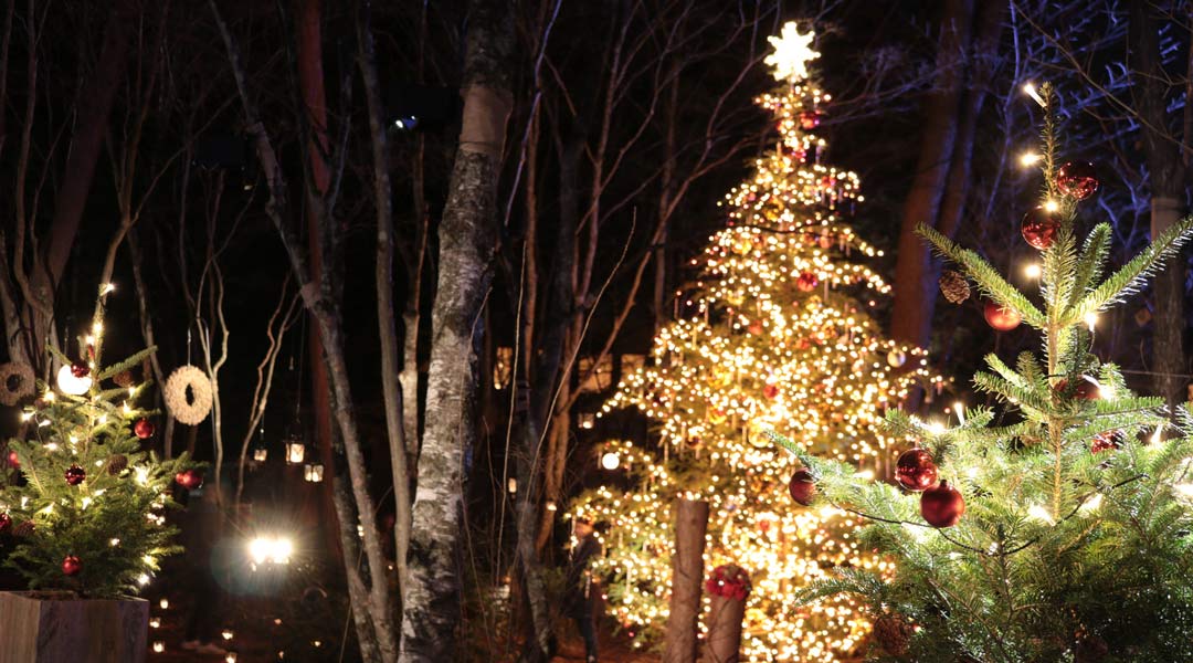 クリスマスのデートガイド2020！都内＆東京近郊のイルミ・ディズニー・レストラン・ホテル・温泉などデートスポットを総まとめ