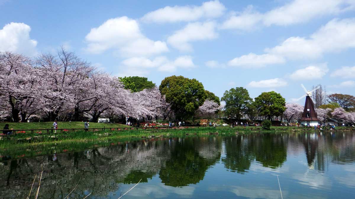 浮間公園（東京都・浮間舟渡）_お花見スポット2024