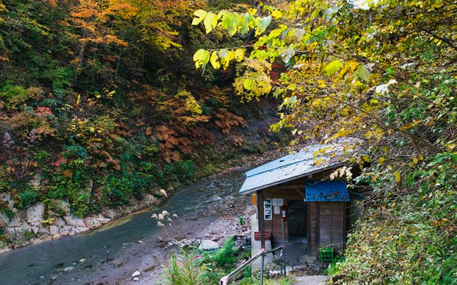 メトロミニッツ、福島県、尾瀬、ふくしま尾瀬、檜枝岐村、南会津町、ネイチャーツーリズム