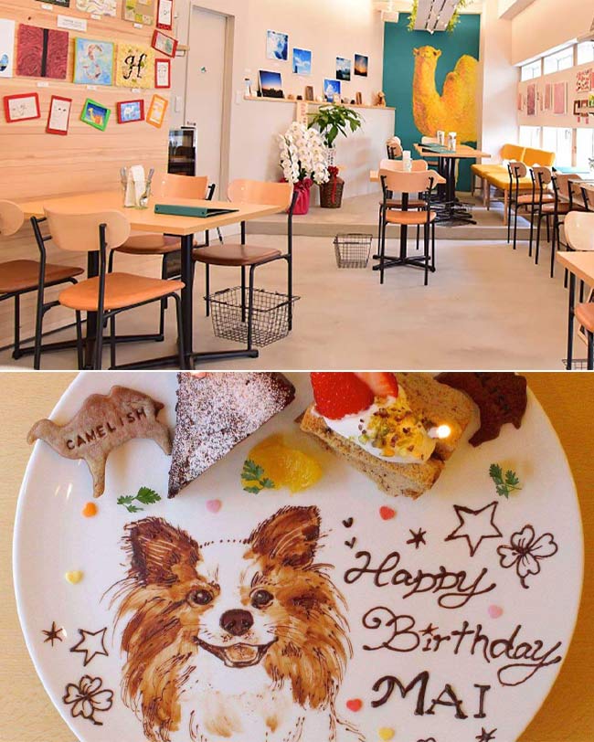 GALLERY＆CAFE CAMELISH（六本木）