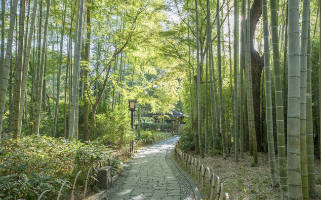 京都嵐山の観光スポット、食べ歩き、ランチ