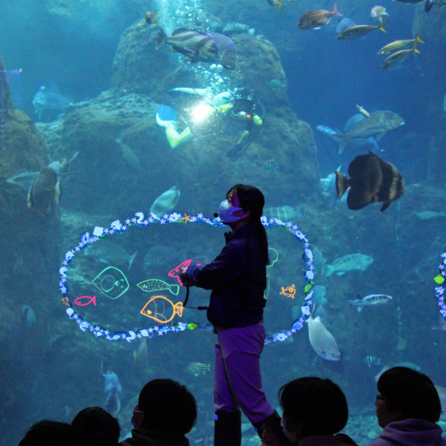 新江ノ島水族館「ENOSUI CHRISTMAS」