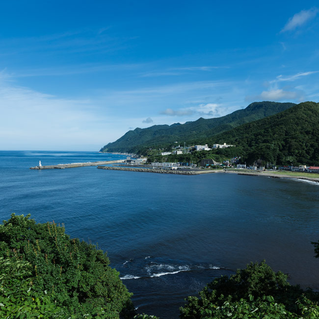 メトロミニッツ、タコ、北海道、積丹半島、神恵内村、ミズダコ、タコ漁、漁師、山森漁業部