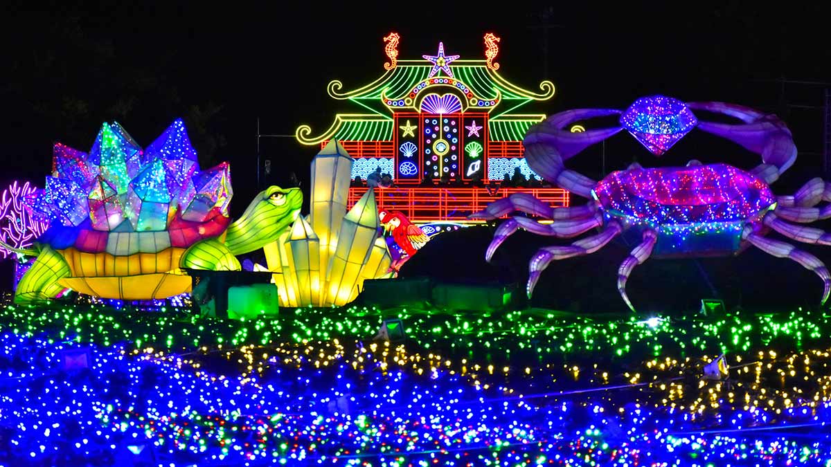 今年で10周年！伊豆ぐらんぱる公園「伊豆高原グランイルミ」。ジップラインなど体験型イルミネーション