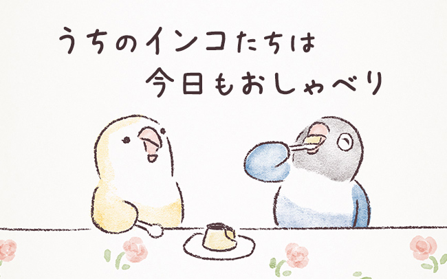 うちのインコたちは今日もおしゃべり