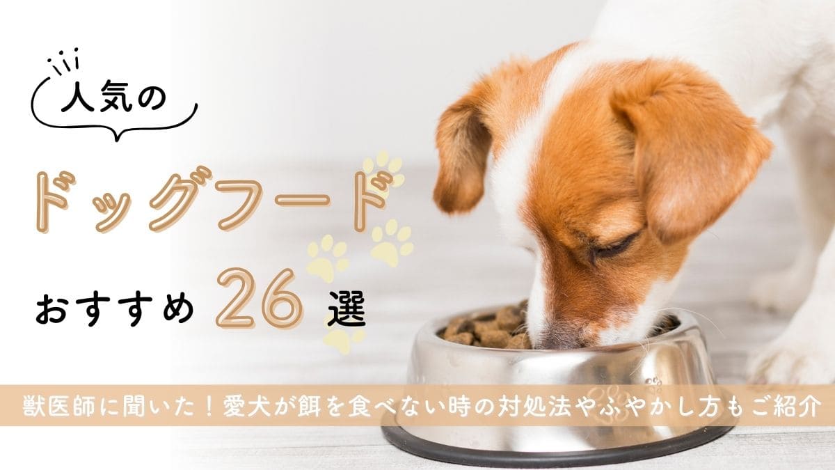 【人気のドッグフードおすすめ26選】獣医師に聞いた愛犬が餌を食べない時の対処法やふやかし方もご紹介