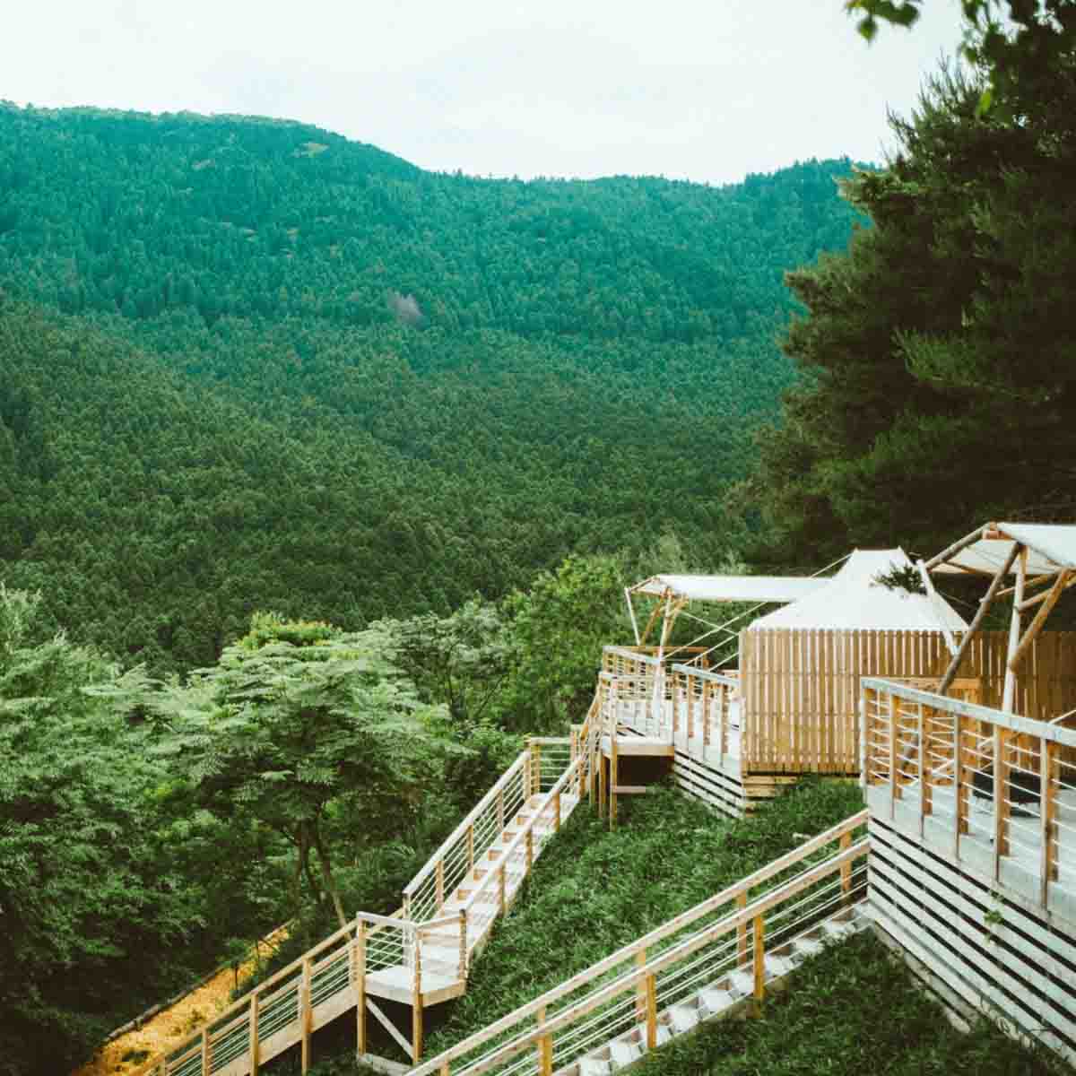森の中に溶け込むテントやキャビンでプライベート空間を楽しむグランピング施設「THE CANYON MOUNTAIN CAMP」【兵庫県・多可郡】