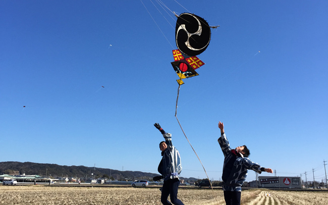 遠州横須賀凧揚げまつり