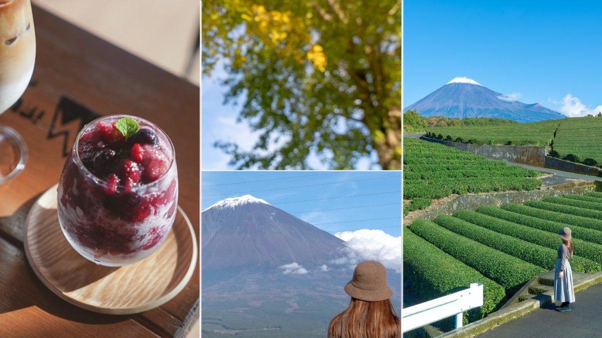 タクシーで巡る！圧巻の茶畑×富士山ビューを堪能。穴場スポット“富士・富士宮”  _「EXサービス」でお得な日帰り旅