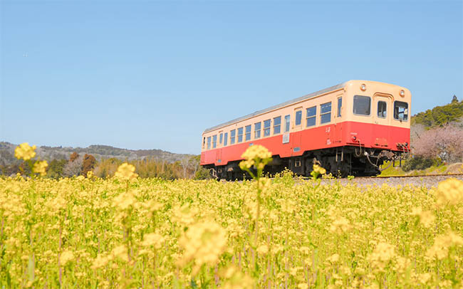 小湊鐵道に乗って、春のいちはらアート散策