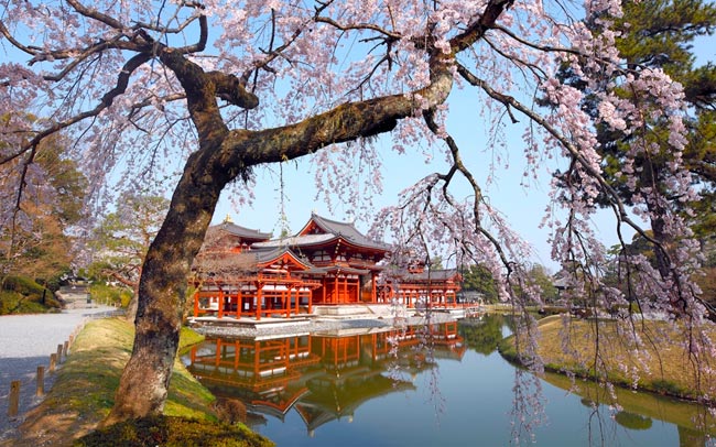 京都・平等院鳳凰堂で出逢う極楽浄土の彩り