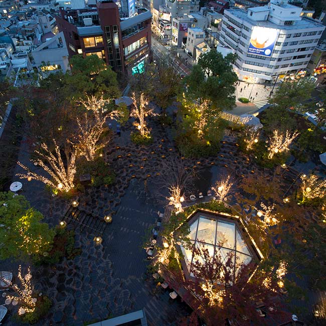 東急プラザ表参道「オモカド」　OMOHARA Christmas illumination