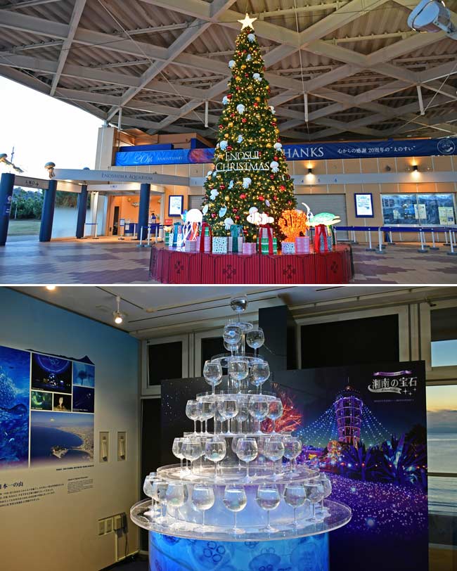 新江ノ島水族館「ENOSUI CHRISTMAS」