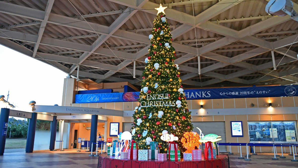 新江ノ島水族館「ENOSUI CHRISTMAS」