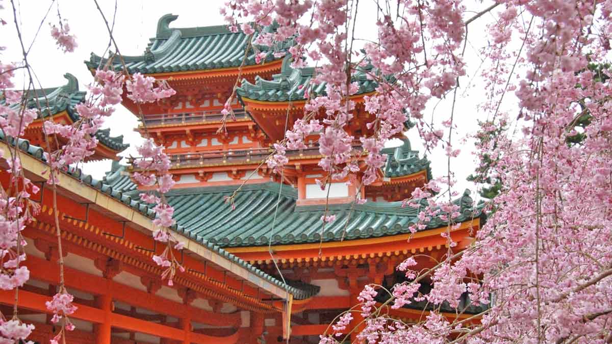 京都、桜の名所めぐり。京都観光タクシー運転手がおすすめする穴場も（平安神宮、上賀茂神社、平野神社）