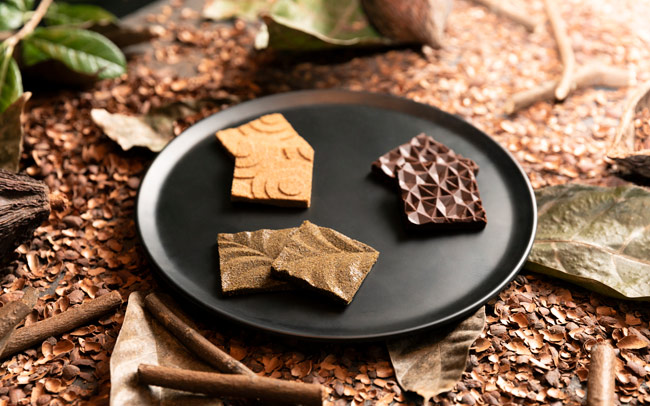 2050年にはチョコレートがなくなる？カカオの廃材から生まれた新感覚“チョコレート”を編集部Sが実食レポ