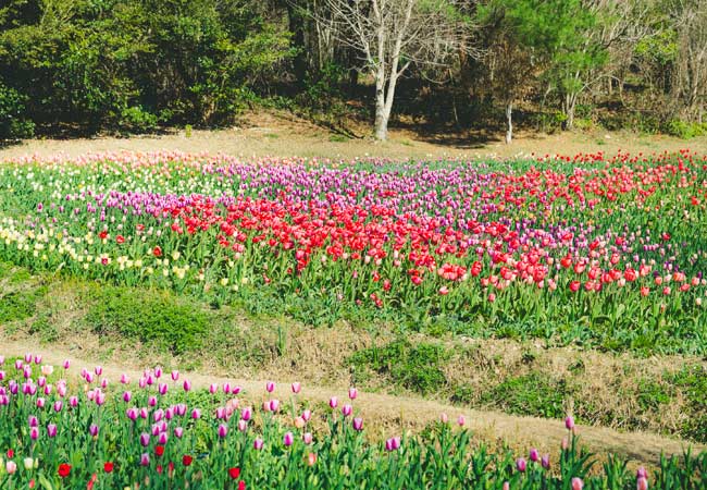 群馬県,太田市