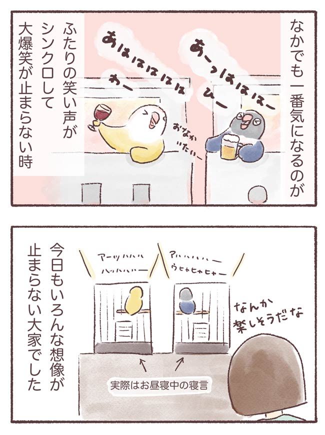 うちのインコたちは今日もおしゃべり1話3P