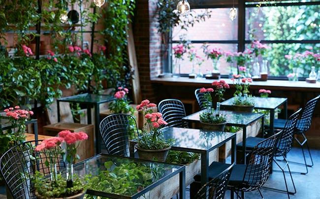 花と緑に癒される優雅な空間 花屋とカフェ併設のフラワーカフェ
