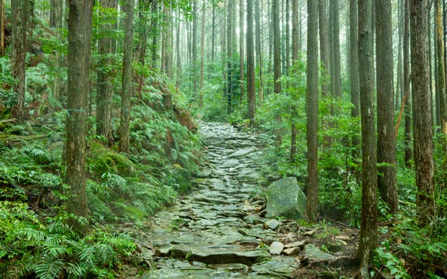 オズマガジン、熊野古道、旅行