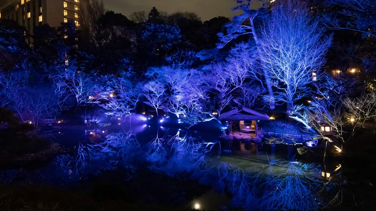 八芳園「TOKYO BLUE GARDEN 2024-2025」