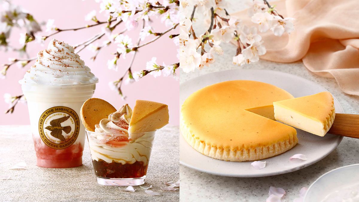 チーズガーデンに桜のカフェスイーツが登場！「御用邸チーズケーキ」に春フレーバーも｜桜スイーツ2024