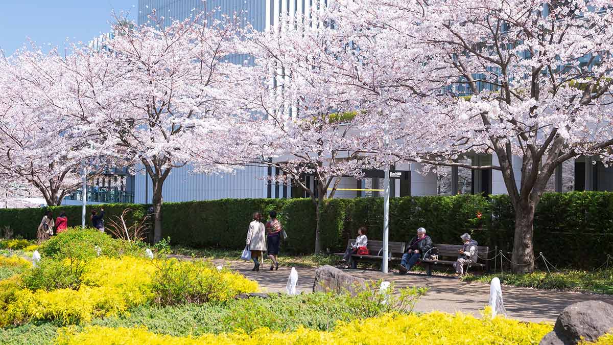 東京ミッドタウン「MIDTOWN BLOSSOM 2024」。100本の桜並木、カフェも｜桜スイーツ・イベント2024